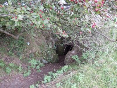 Entrance to Gubbins Hole adit