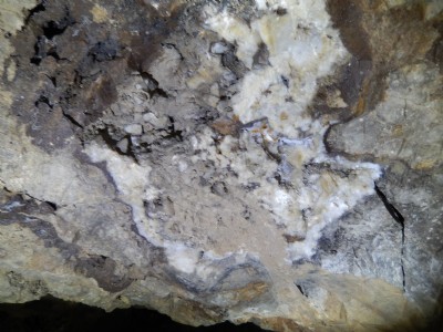 Gubbins Hole Lead Trial