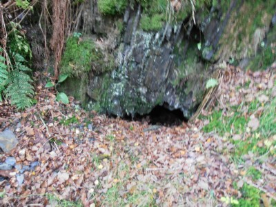 Gwaithcoch