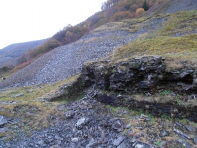 Gwaithcoch