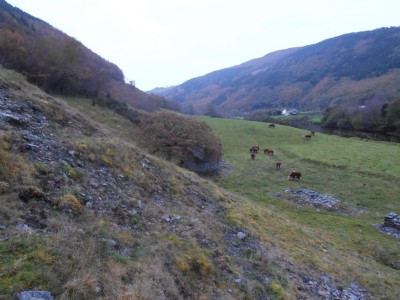 Gwaithcoch