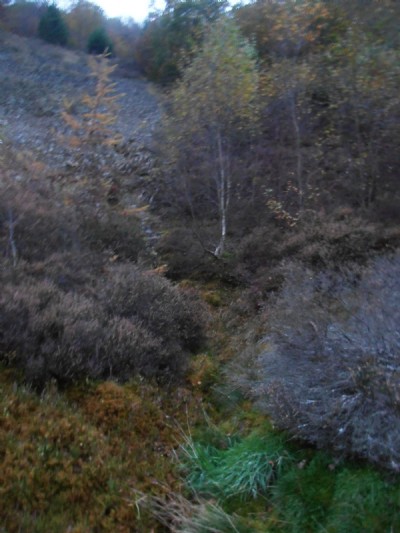 Photographs Of Gwaithcoch