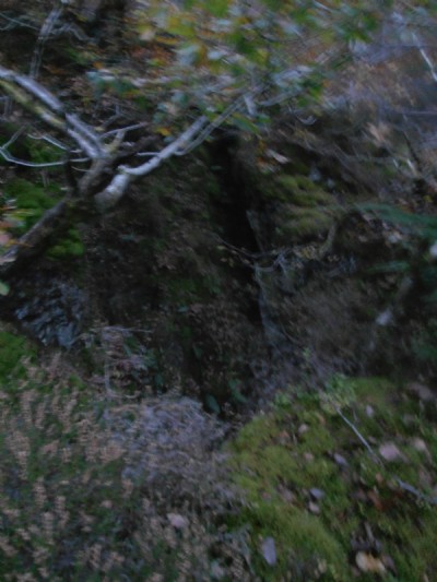 Gwaithcoch