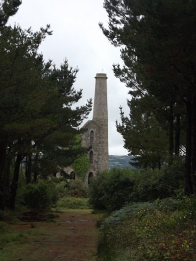 Photographs Of Gwennap United     ( 1901 ) (Photo ref 64972)