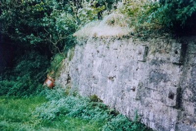 Photographs Of Hallenbeagle North