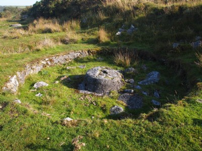 Round Buddle