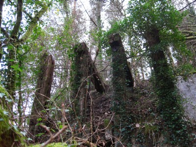 Photographs Of Hawks Wood