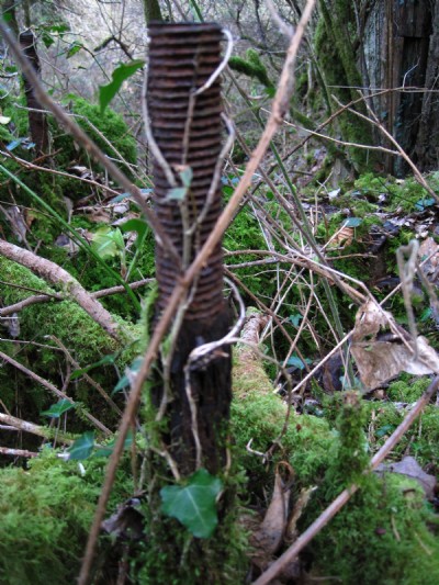 remains of equipment in old mill