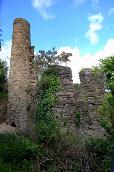 Photographs Of Henry