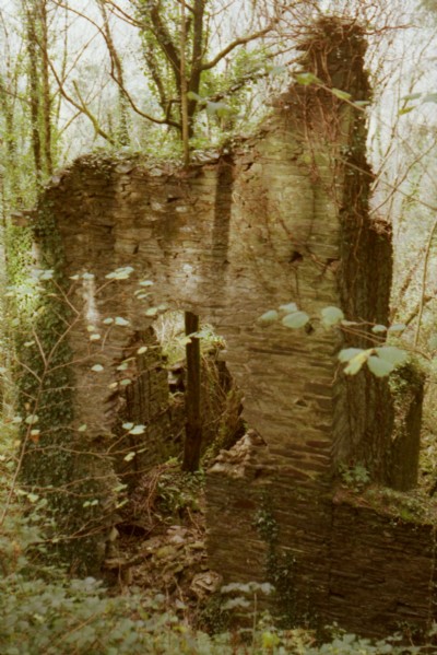 herodscoombe engine