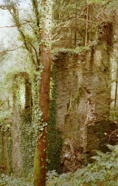 Historic Photographs Of Herodscoombe