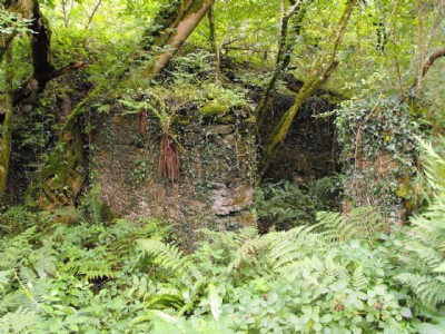 lower house.