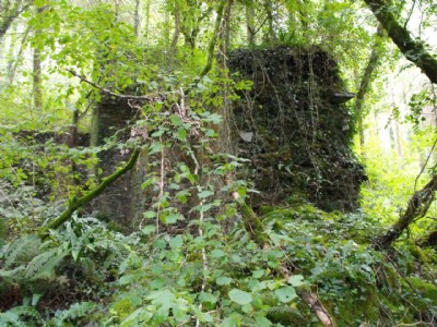 Photographs Of Herodscoombe