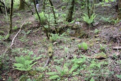 Herodsfoot Mine