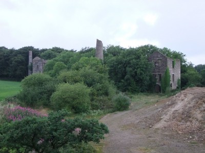 Photographs Of Holmbush