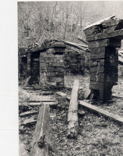 Historic Photographs Of Hafod Las