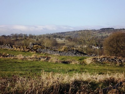 Photographs Of Hallicar Olive