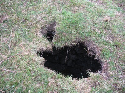 Photographs Of Hamsterley