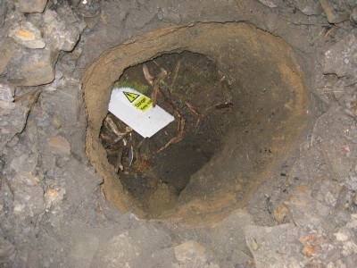Down the hole