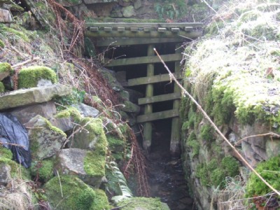 Photographs Of Harehope Gill (Photo ref 26032)