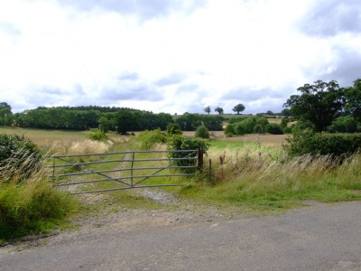 Photographs Of Harlaxton