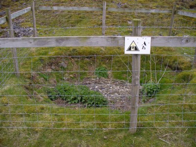 Shaft 1