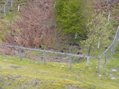 Shaft 2 from the quarry