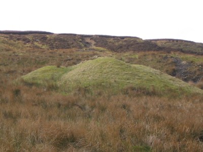 Photographs Of Harriet Level
