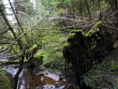 harsondale cleugh