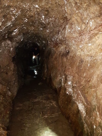 Level
