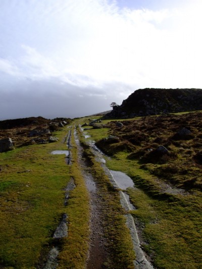 Photographs Of Haytor