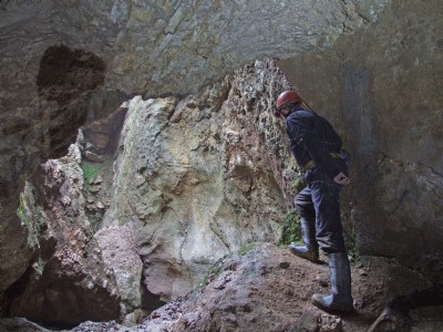 View Into Opencut