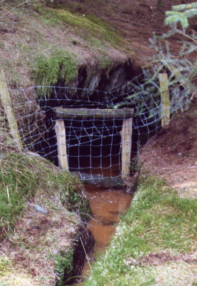 Photographs Of Henfwlch