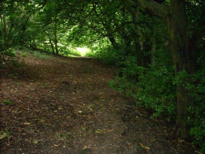 Pack Road