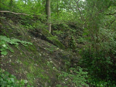 Remains