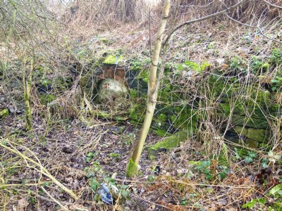 17.03.11 Ellen Cliff Colliery - Bricked up Adit