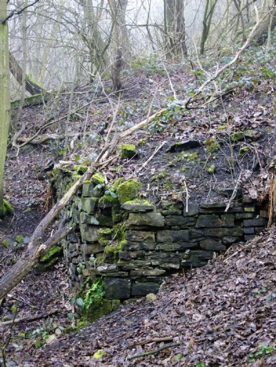 17.03.11 Ellen Cliff Colliery - Retaining walls below drifts site