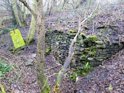 17.03.11 Ellen Cliff Colliery - Retaining walls below drifts site