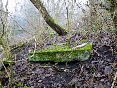 17.03.11 Ellen Cliff Colliery - Masonry from Engine Base? on shelf below drifts site