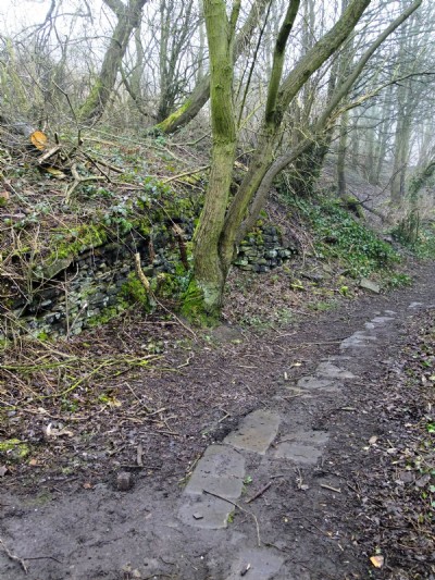 17.03.11 Ellen Cliff Colliery - Pack Road passing Mine, Flagged section