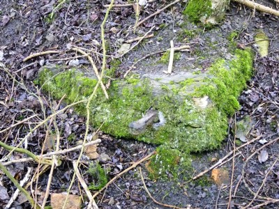 17.03.11 Ellen Cliff Colliery - Masonry from Engine Base? on shelf below drifts site