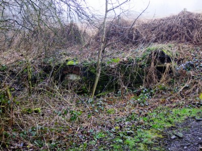 17.03.11 Ellen Cliff Colliery - Bricked up Adit