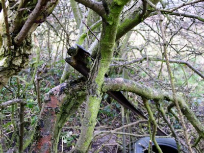 Photographs Of Henholmes