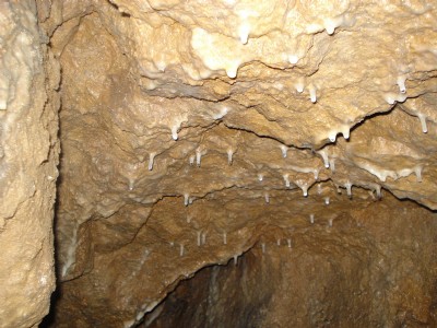 Stalactites