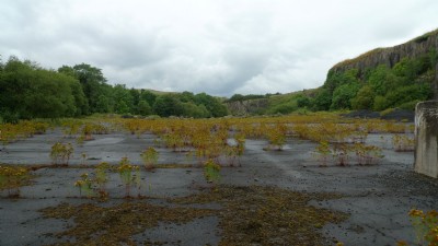 Photographs Of High Force