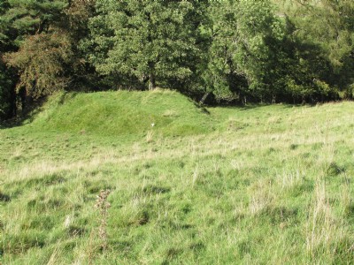 Photographs Of High Nest