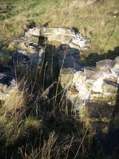 Photographs Of High Rake