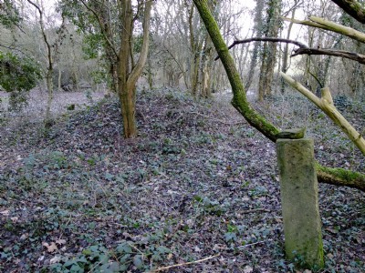 Photographs Of Highfield