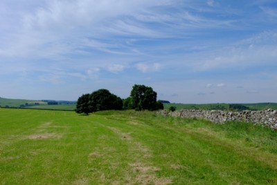 Highfields Mine