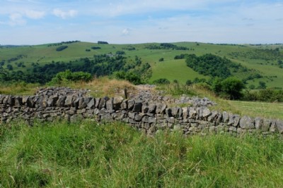 Photographs Of Highfields